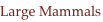 shapeimage_10_link_0